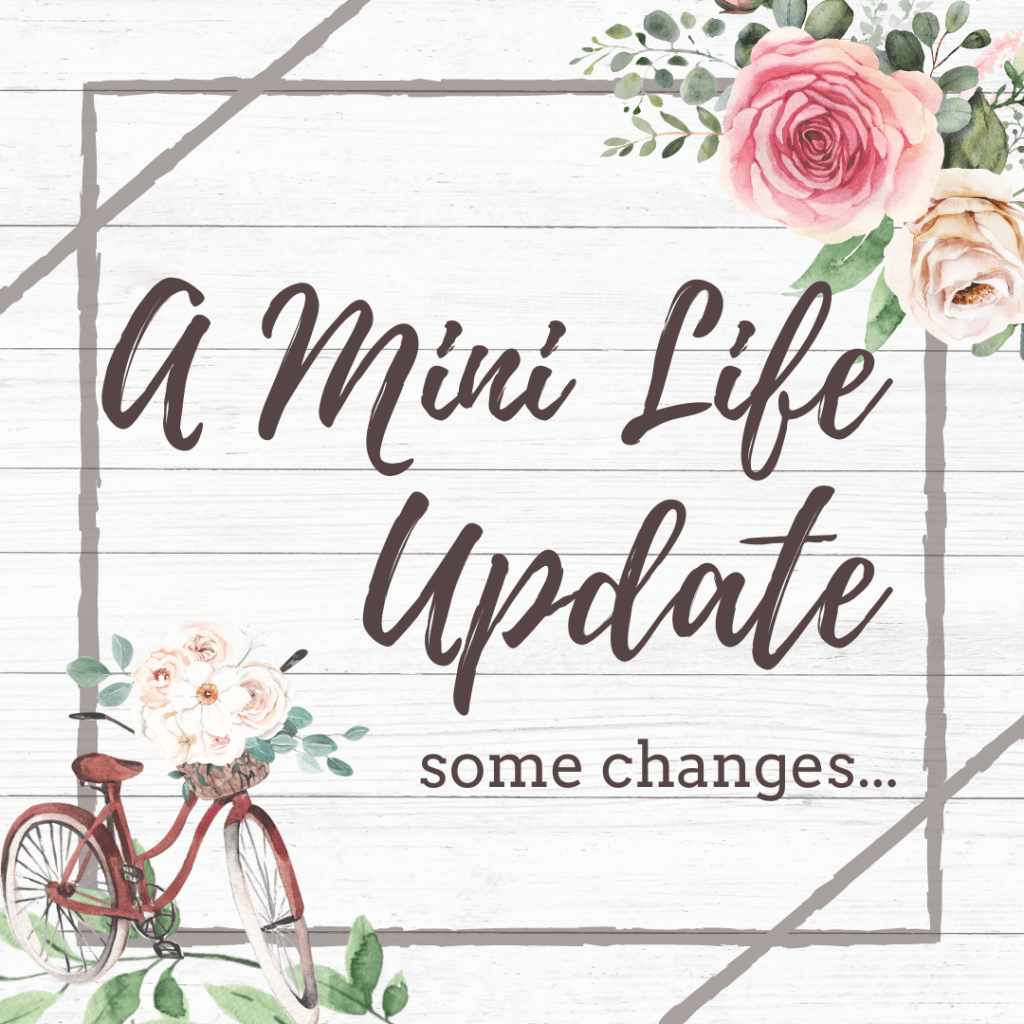 A Mini Life&nbsp;Update!