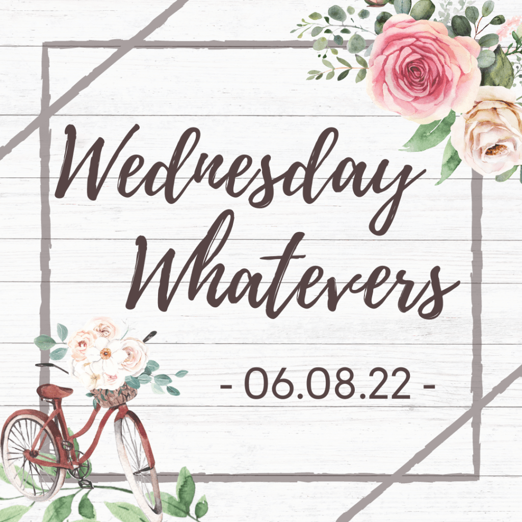 Writer Terms You Should Probably Know (especially if you follow a writer blog [psst… this&nbsp;blog])