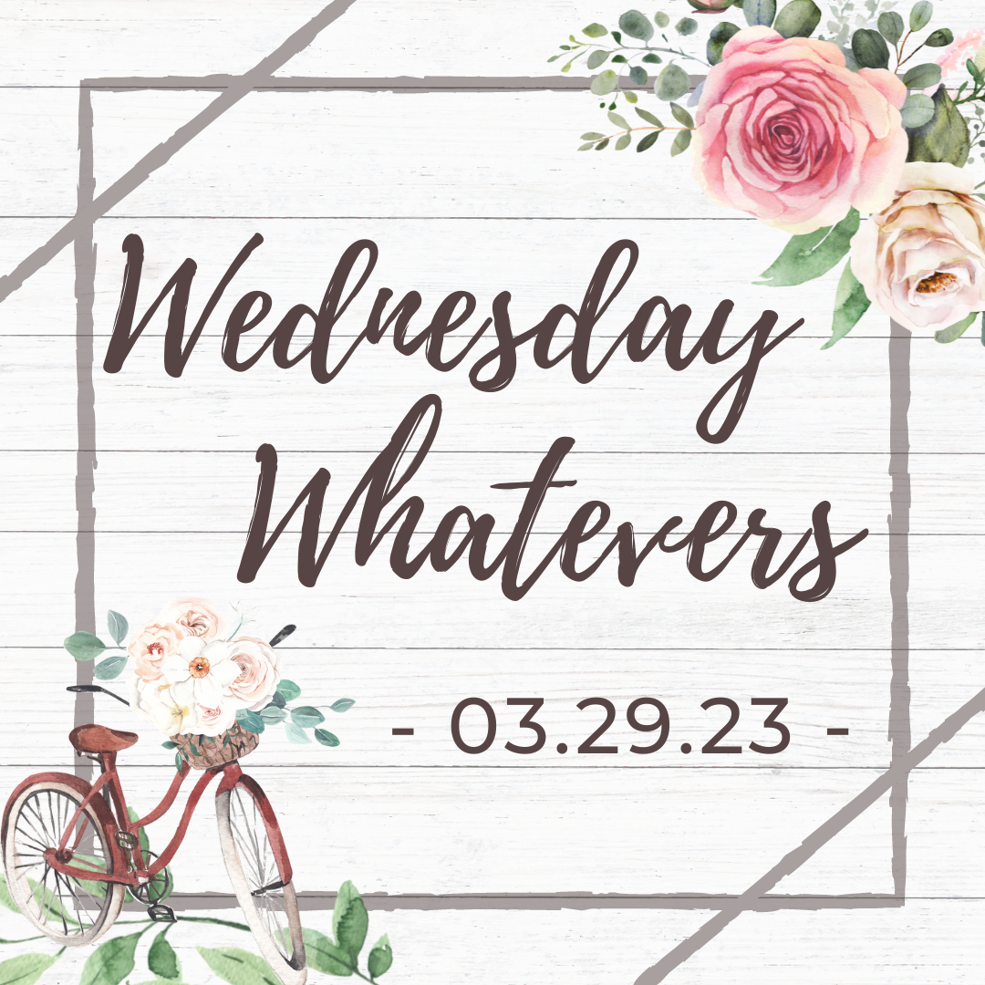 A Little Photography Dump pt.2 // Wednesday Whatevers