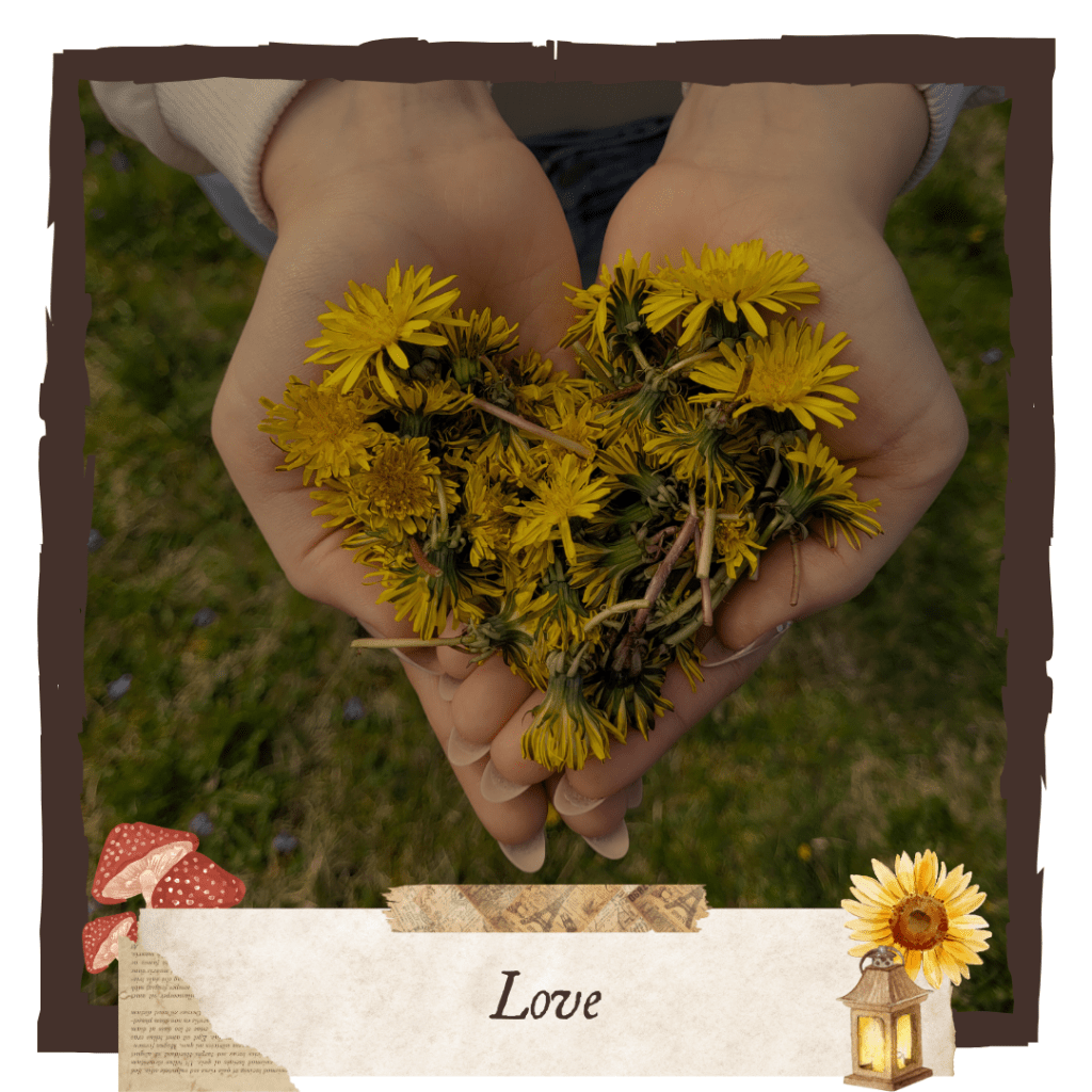 My Top Five Books About Love // Five Fall Favorites&nbsp;2024