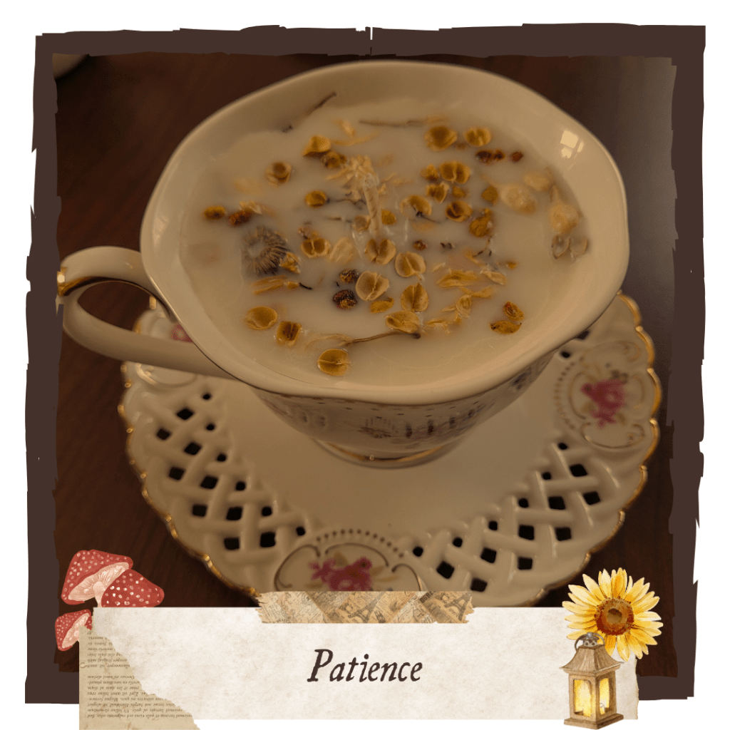 My Top Five Books About Patience // Five Fall Favorites&nbsp;2024