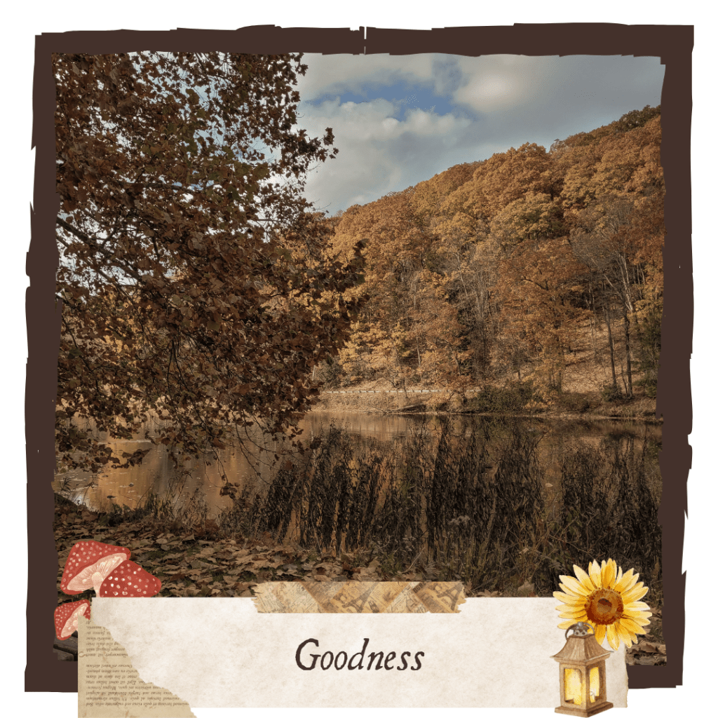 My Top Five Books About Goodness // Five Fall Favorites&nbsp;2024