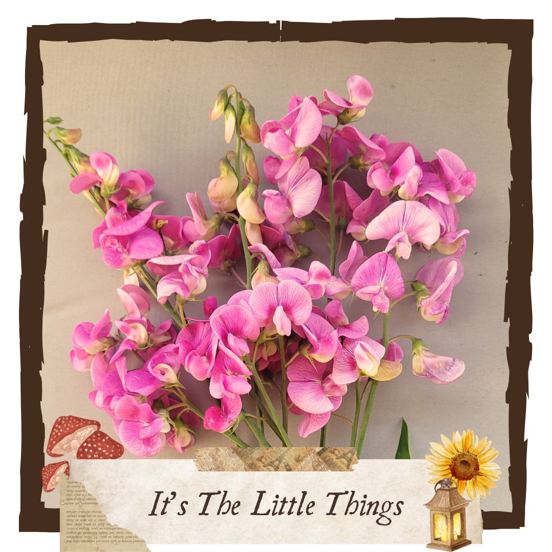 Little Things I Love