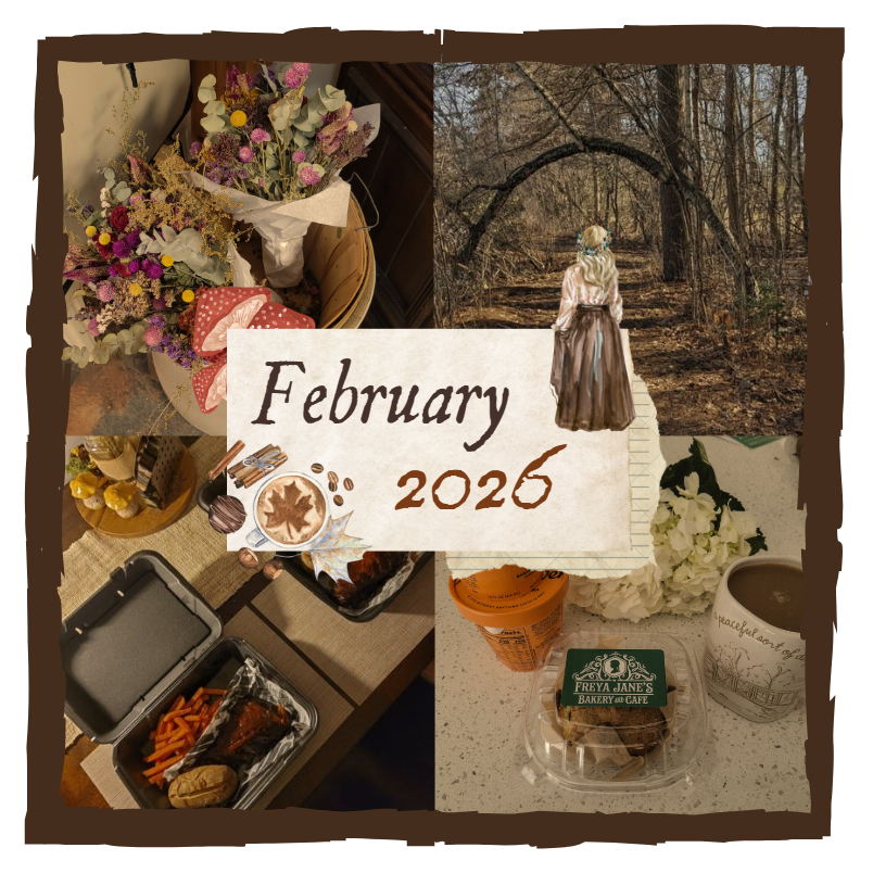 House Projects, Health, & A Little Bit of Warmth // February 2026