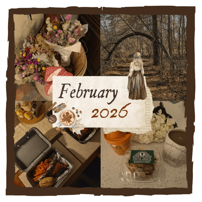 House Projects, Health, & A Little Bit of Warmth // February&nbsp;2026